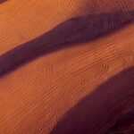 cropped-pexels-walid-ahmad-1509582